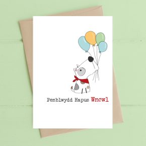Penblwydd Hapus Wncwl / Happy Birthday Uncle