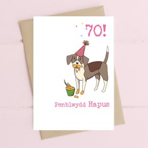 Penblwydd Hapus - 70 (Happy Birthday - 70)