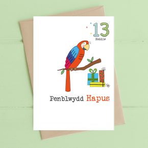 Penblwydd Hapus, 13 Heddiw (Happy Birthday, 13 Today)