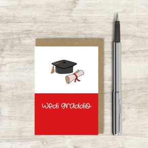 Wedi Graddio / Graduation