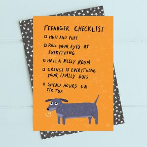 Teenager checklist
