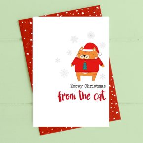 Meowy Christmas from the cat