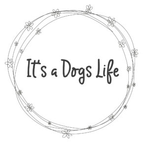 NEW! It's a Dogs Life