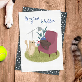 Brysia Wella (Get Well Soon) Poorly cat