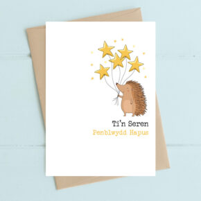 Ti'n Seren Penblwydd Hapus (you are a star, happy birthday) Hedgehog and bunch of balloons