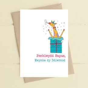 Penblwydd Hapus, Mwynha dy Ddiwrnod (Happy Birthday, enjoy your day) Party giraffe