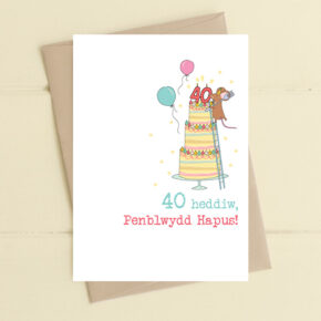 Penblwydd Hapus (Happy Birthday age 40) Tall tiered cake with mouse on ladders