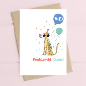 Penblwydd Hapus (Happy Birthday age 40) Party leopard