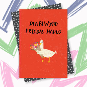 Penblwydd Priodas Hapus - Wedding Anniversary