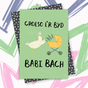 Croeso I’r Byd Babi Bach - Welcome to the world little one