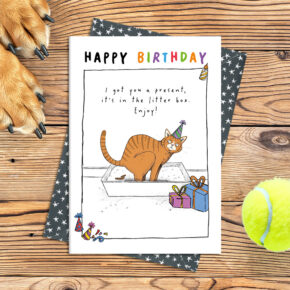 Happy Birthday - Litter box present