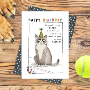 Happy Birthday - You're older cat