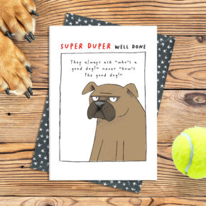 Well done - Grumpy dog