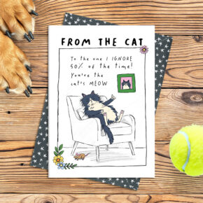 From the cat  - You're the cat's meow